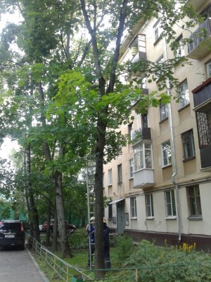 20170716_153508.jpg
