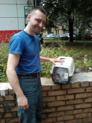 Котенок.jpg