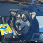 Аватара пользователя