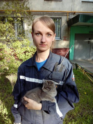 Спасенная кошка.jpg