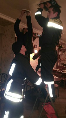 ищем кота.jpg