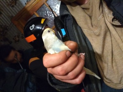 WhatsApp Image 2018-01-01 at 23.32.03.jpeg