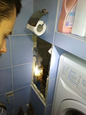 WhatsApp Image 2018-01-01 at 23.32.16.jpeg