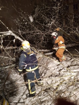 WhatsApp Image 2018-02-05 at 02.42.52.jpeg